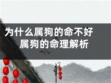 为什么属狗的命不好 属狗的命理解析