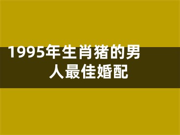 1995年生肖猪的男人最佳婚配
