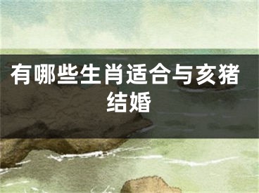 有哪些生肖适合与亥猪结婚