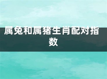 属兔和属猪生肖配对指数