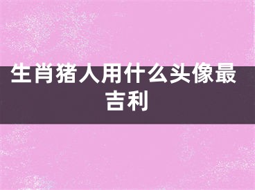 生肖猪人用什么头像最吉利