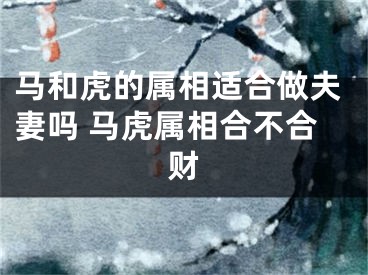 马和虎的属相适合做夫妻吗 马虎属相合不合财