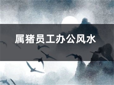 属猪员工办公风水
