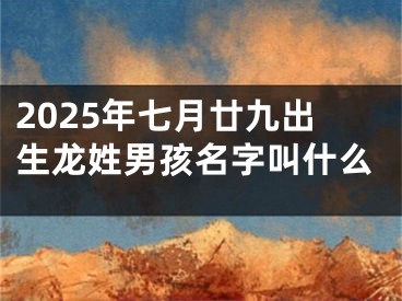 2025年七月廿九出生龙姓男孩名字叫什么