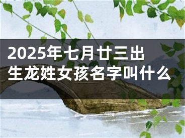 2025年七月廿三出生龙姓女孩名字叫什么