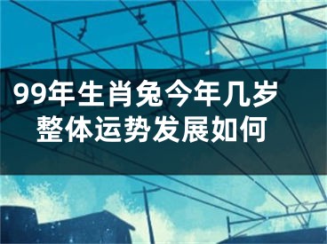 99年生肖兔今年几岁 整体运势发展如何