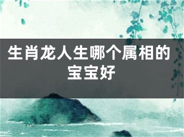 生肖龙人生哪个属相的宝宝好
