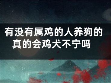 有没有属鸡的人养狗的 真的会鸡犬不宁吗