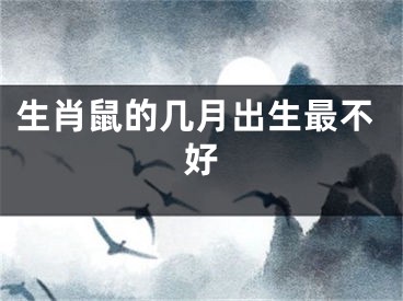 生肖鼠的几月出生最不好