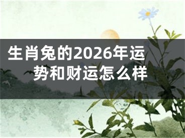 生肖兔的2026年运势和财运怎么样