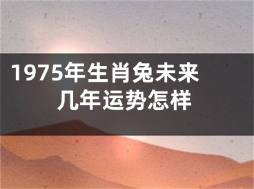 1975年生肖兔未来几年运势怎样