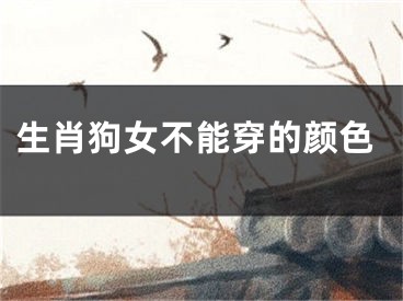 生肖狗女不能穿的颜色