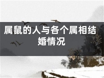 属鼠的人与各个属相结婚情况