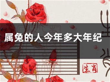 属兔的人今年多大年纪