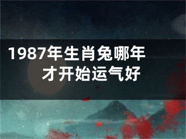 1987年生肖兔哪年才开始运气好