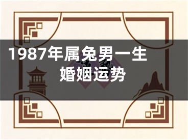 1987年属兔男一生婚姻运势