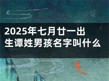 2025年七月廿一出生谭姓男孩名字叫什么
