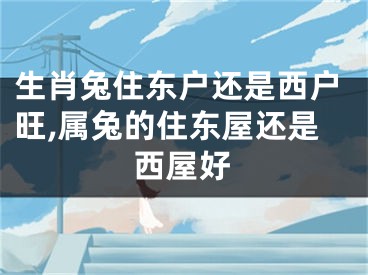 生肖兔住东户还是西户旺,属兔的住东屋还是西屋好