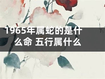 1965年属蛇的是什么命 五行属什么