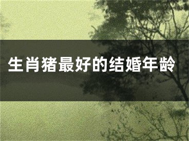 生肖猪最好的结婚年龄