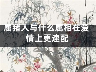 属猪人与什么属相在爱情上更速配