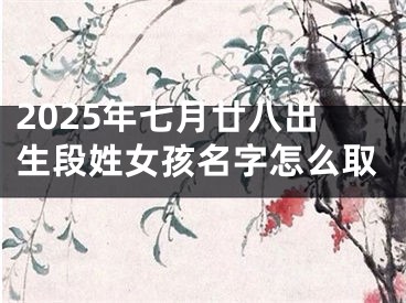 2025年七月廿八出生段姓女孩名字怎么取