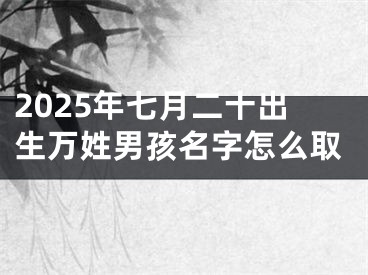 2025年七月二十出生万姓男孩名字怎么取