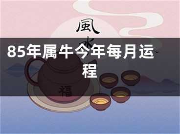85年属牛今年每月运程