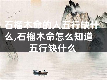 石榴木命的人五行缺什么,石榴木命怎么知道五行缺什么