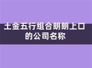 土金五行组合朗朗上口的公司名称