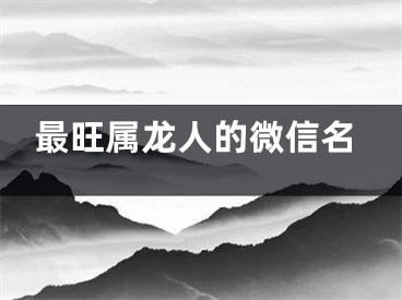 最旺属龙人的微信名