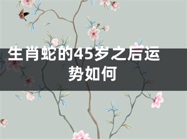 生肖蛇的45岁之后运势如何