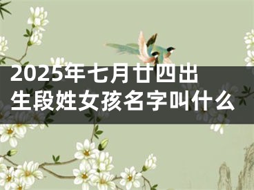 2025年七月廿四出生段姓女孩名字叫什么