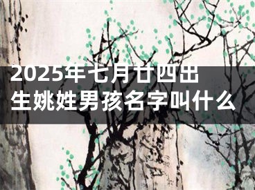2025年七月廿四出生姚姓男孩名字叫什么