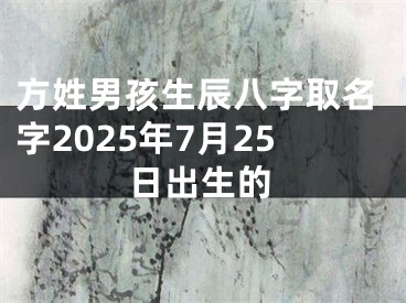 方姓男孩生辰八字取名字2025年7月25日出生的