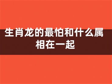 生肖龙的最怕和什么属相在一起