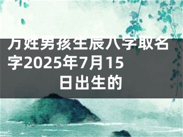 万姓男孩生辰八字取名字2025年7月15日出生的