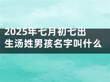 2025年七月初七出生汤姓男孩名字叫什么