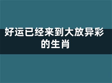 好运已经来到大放异彩的生肖
