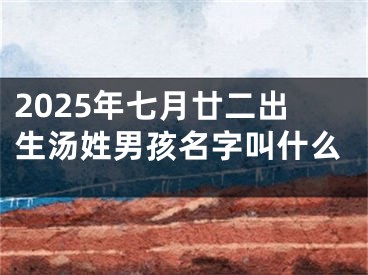 2025年七月廿二出生汤姓男孩名字叫什么