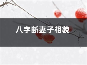 八字断妻子相貌