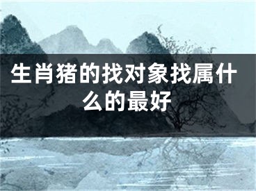 生肖猪的找对象找属什么的最好