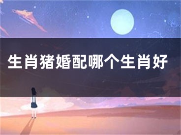生肖猪婚配哪个生肖好