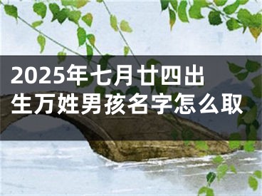 2025年七月廿四出生万姓男孩名字怎么取