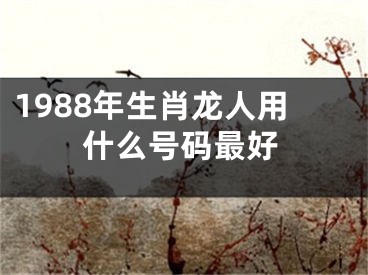 1988年生肖龙人用什么号码最好