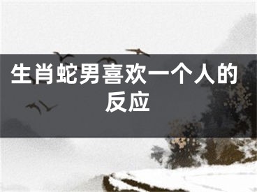 生肖蛇男喜欢一个人的反应