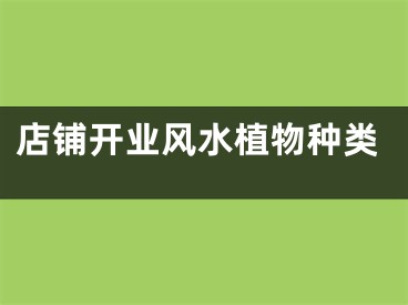 店铺开业风水植物种类