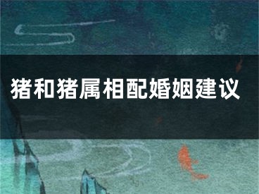 猪和猪属相配婚姻建议