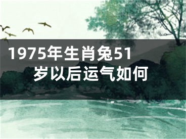 1975年生肖兔51岁以后运气如何