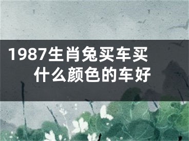 1987生肖兔买车买什么颜色的车好